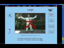 Large