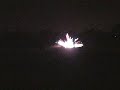 firework gone wrong firework gone wrong