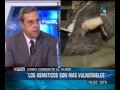 Informe America Noticias: C�mo combatir el Humo?