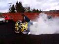 Biker Boys: Burn-out Mania