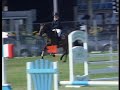 CSO dieppe 11Ocm Fauve du plessis
