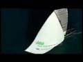 videos de II Regata_Desafío_Español_08..wmv