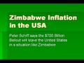 videos de Peter schiff:Zimbabwe Inflation in the USA  (old)