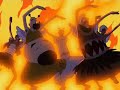 one piece amv the great pirate party