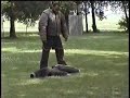 walter vs sam