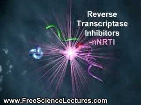 HIV Replication and Life Cycle