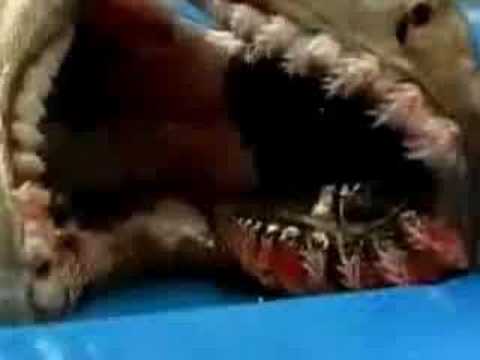creatures - www.monsterhunterclub.com Where are all these strange mutated and ancient creatures coming from?