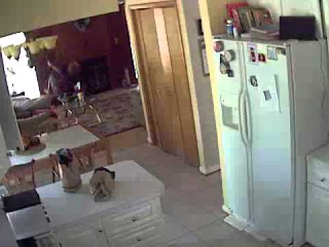 Maryland - Footage captured by a security cam in my house during a earth quake that was in Virginia. Even in Maryland you can see the effects.