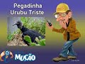Mucao.com.br - Pegadinha - Urubu Triste
