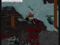 Tibia Calmera Nightmares