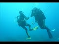 scubafishing underwater fish\ scubafishing underwater fish\