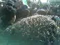 الاهلي