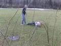 Skinny Redhead Get Laid Out