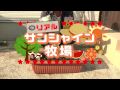 リアルサンシャイン牧場 第1回