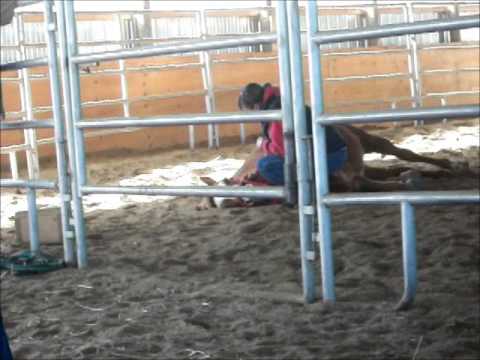 horses grand national