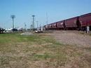 NB BNSF MT Grain Train Crossing the UPRR @ Saginaw TX