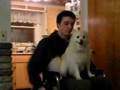 Doogie rides!
