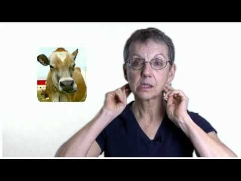 how to cure jaw pain