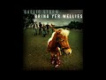 Gaelic Storm - Never Drink 'em Dry (Johnny Tarr's Funeral) Lyrics