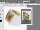 Photoshop (3D Image Editing)