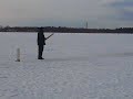 Ice cricket from surreal to ridiculous Ice cricket from surreal to ridiculous