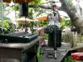 videos de Mr Percival at Poinciana Cafe (pt 4) - 
