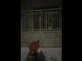 Weakerthans - One Great City