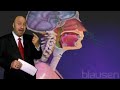 How The H1N1 Vaccine Works - For Any Fool Considering Taking It!