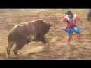 matt-darmody-ulverstone-pro-rodeo-2007.html