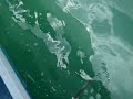 Jean Pescaria de Ca��o