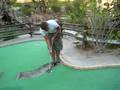 videos de Koning van het midgetgolfen