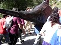 250 aniversari �liga de la patum de Berga
