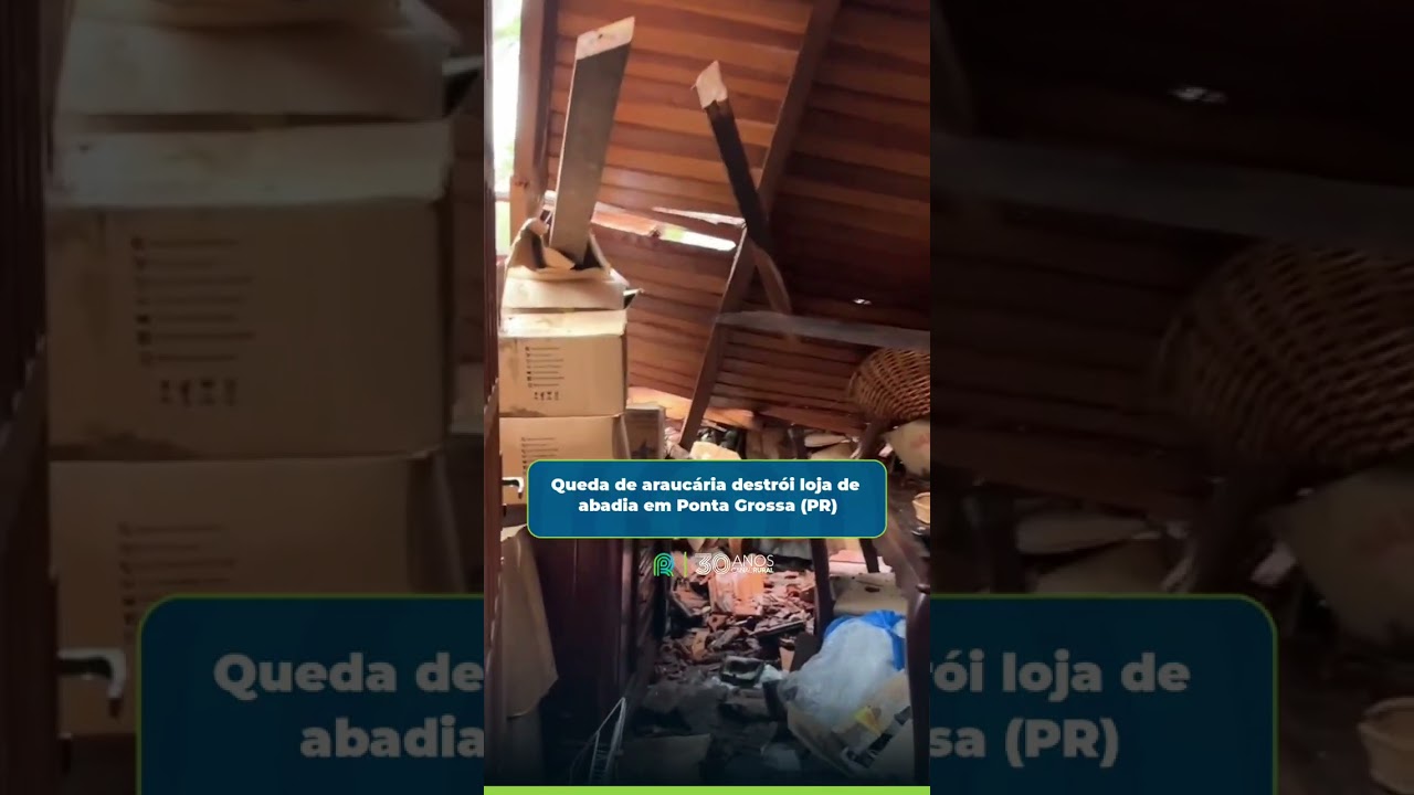 A queda de uma árvore araucária no último sábado (16) provocou destruição em uma abadia localizada n