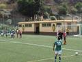Alojera 3 Fasnia 2
