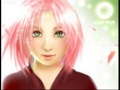 Through sakura\