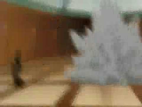 GunGrave Force