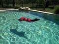 Murphy goes swimming