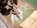 CAYO COCO crocodile farm