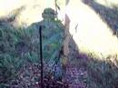 tree planting challenge 4 tree planting challenge 4