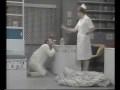 The Sooty Show - Fat and 40 - Part Two The Sooty Show - Fat and 40 - Part Two