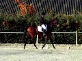 Maud et Olina : entrainement dressage au tournebride - centre équestre de Pollionnay