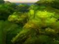 Murloc WoW WoW 3.0.8 LOW ÉS FUN SZERVER