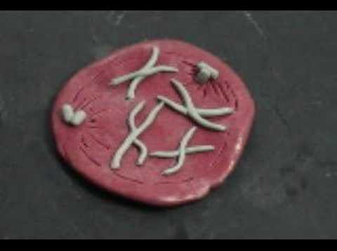 Mitosis