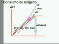 videos de Entrenamiento aerobico Bases Biologicas 2
