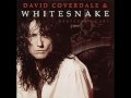 Your Precious Love - Whitesnake