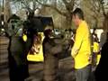 Neil Morrissey Pedigree Dog Adoption Drive