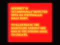 Obesrvations of the neter- Sekhmet and the solar plexus