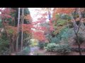 Autumn of Kitano Tenmangu KYOTO, Japan 京都・北野天満宮の紅葉