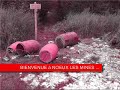 Principaux dépot de pots
