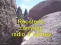 FT817/Buddistick/Goats on the Rocks